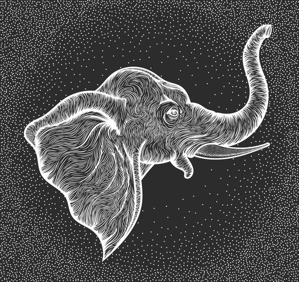 Cabeza de elefante en línea de perfil de diseño boho art. Ilustración del dios indio Ganesha. Vector — Archivo Imágenes Vectoriales