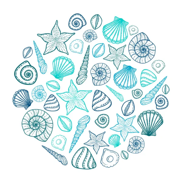Cartaz com conchas e estrelas-do-mar. Fundo marinho. Ilustração vetorial desenhada à mão no estilo doodle . — Vetor de Stock