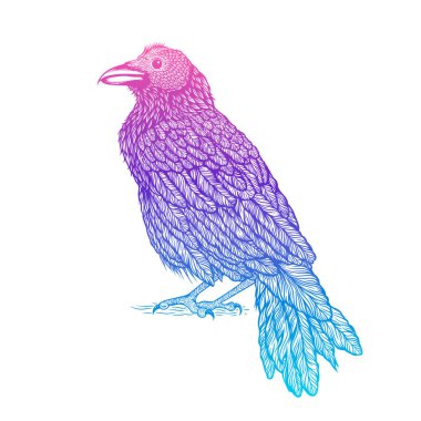 Kuzgun çizgi sanat stili Illustration. Karga elle çizilmiş vektör çizim