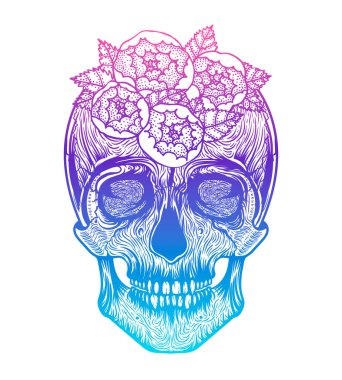 İnsan kafatası kabile stili. Dövme siyahişi. Çizilen illüstrasyon vektör ver. Boho 