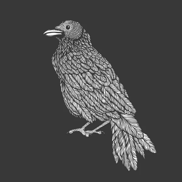 Illustrazione di linea corvo stile arte. Illustrazione vettoriale del corvo disegnato a mano — Vettoriale Stock