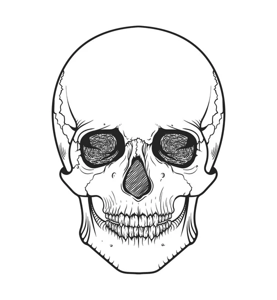 Human skull tribal style.Tattoo blackwork. Vector hand drawn illustration. Boho — Stock Vector