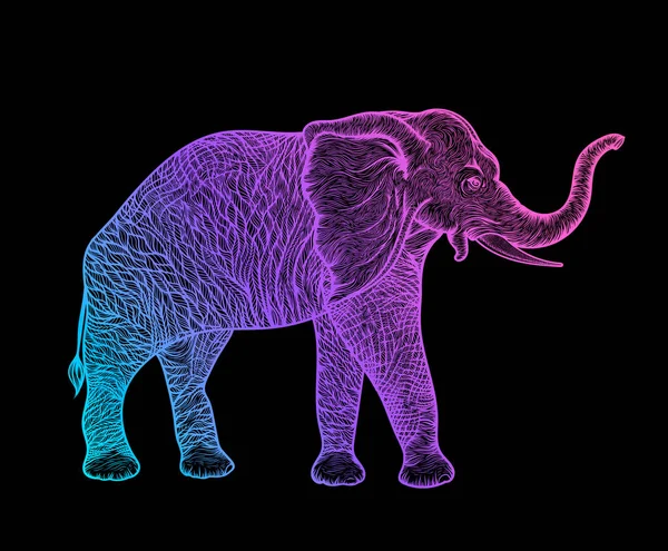 Elefante en línea de perfil de diseño boho art. Ilustración vectorial — Archivo Imágenes Vectoriales