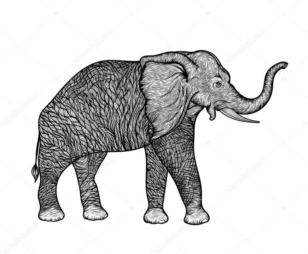 Elephant in profile line art boho design. Vector illustration