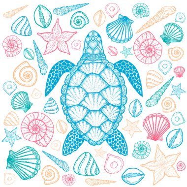 Sea turtle and shells in line art style. Hand drawn vector illustration