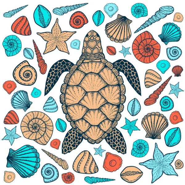 Tortuga marina y conchas en estilo de arte en línea. Ilustración vectorial dibujada a mano — Vector de stock