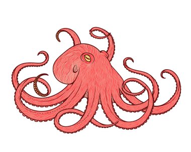 Ahtapot hat sanat stil vektör Illustration. Tasarım t-shirt, posterler için.