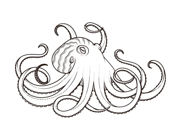 Ahtapot hat sanat stil vektör Illustration. Tasarım t-shirt, posterler için.