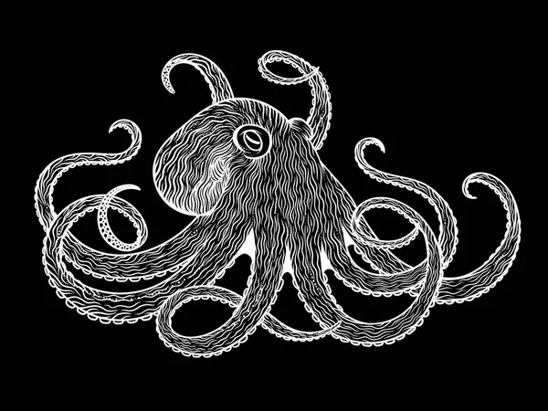 Illustration vectorielle du style art linéaire de la pieuvre. Conception pour t-shirt, affiches . — Image vectorielle