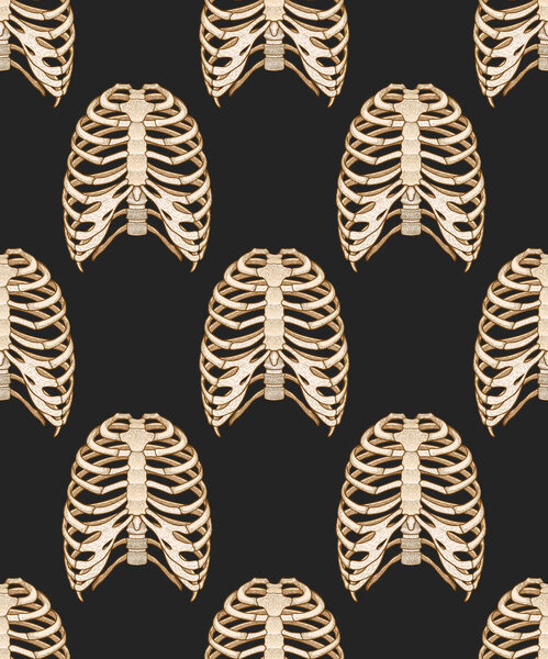 Бесшовный рисунок с человеческой грудной клеткой. Линейный стиль. Векторная иллюстрация Бохо
