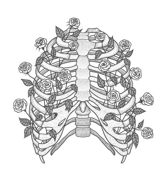 Ilustração da caixa torácica humana com rosas. Estilo de arte de linha. Vetor de Boho —  Vetores de Stock