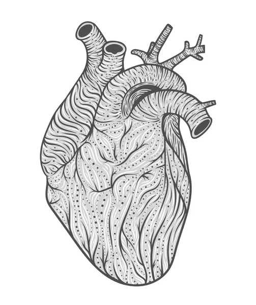 Human heart line art. Vector illustration. Tattoo style — Stock Vector