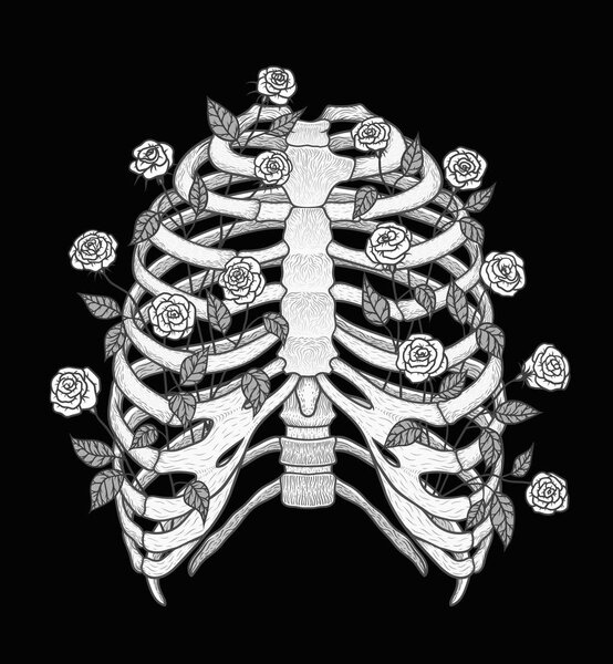 Иллюстрация человеческой грудной клетки с розами. Линейный стиль. Вектор Бохо

