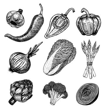 Elle çizilmiş öğeleri kroki tarzı ile taze sebze ayarlayın. Farklı biber.