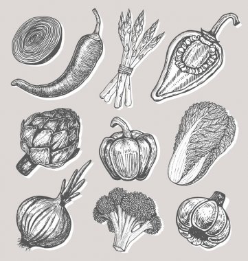 Elle çizilmiş öğeleri kroki tarzı ile taze sebze ayarlayın. Farklı biber.