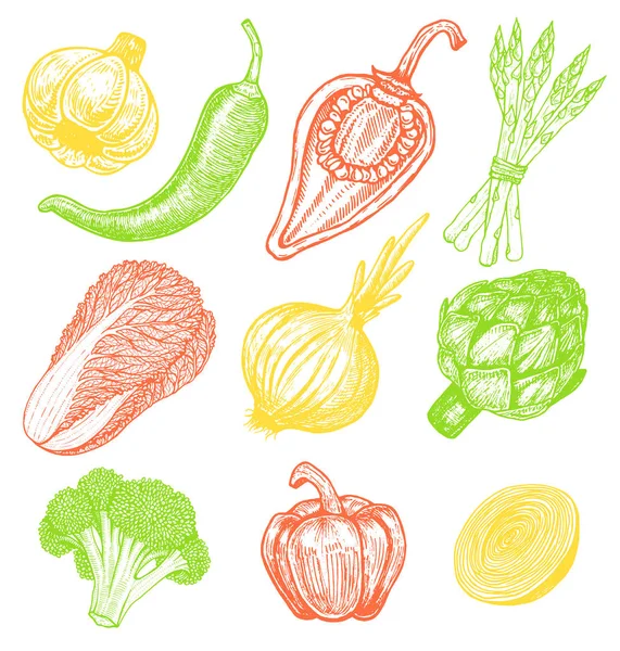 Definir elementos desenhados à mão com estilo esboço legumes frescos. Pimentos diferentes. Alcachofra e espargos. Couve-flor, cebola — Vetor de Stock