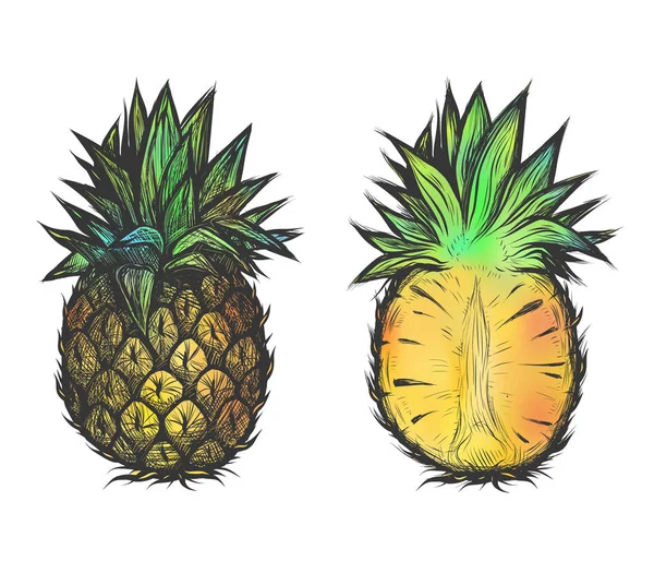 Ручная рисованная векторная иллюстрация ананаса. Красочный дизайн для футболки . — стоковый вектор