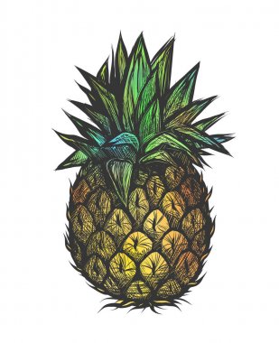 El ananas vektör çizim çekilmiş. Renkli tasarım t-shirt için.