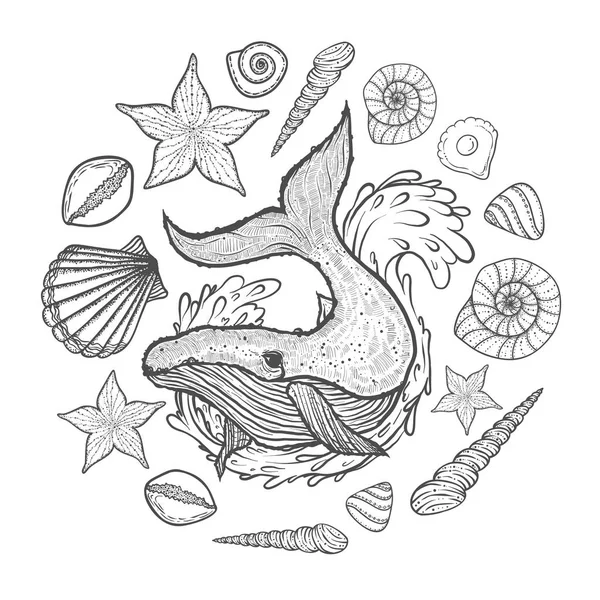 Poster con balena, conchiglie e stelle marine. Sfondo marino. Illustrazione vettoriale disegnata a mano in stile doodle — Vettoriale Stock