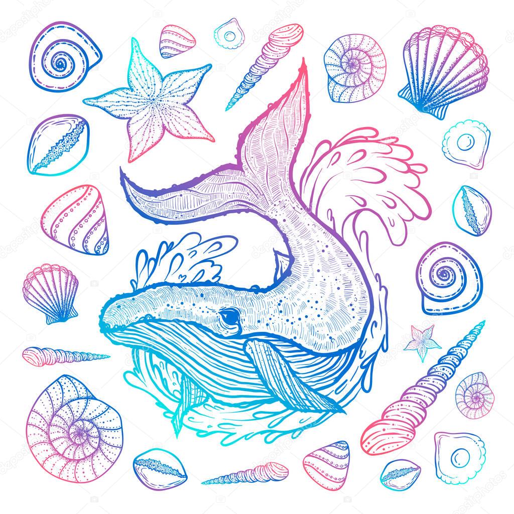Poster with whale, seashells and starfishes. Marine background. Hand drawn illustration in doodle style