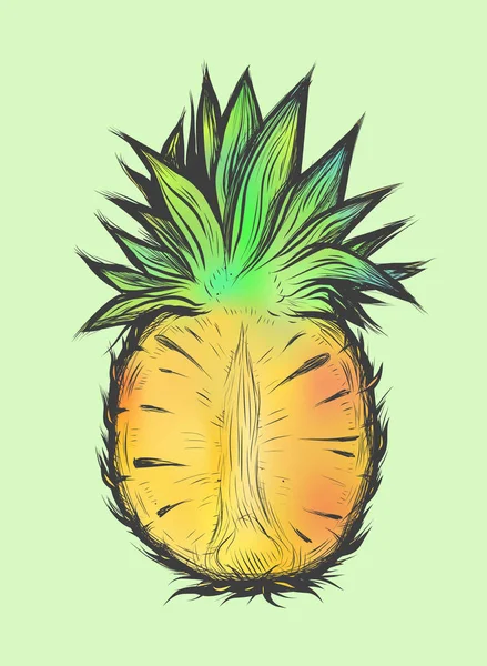 Illustration vectorielle dessinée à la main d'un demi ananas. Conception colorée pour t-shirt . — Image vectorielle