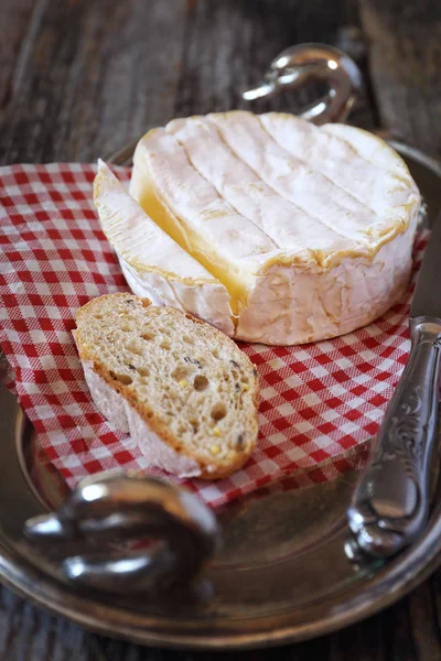 Francouzský sýr camembert — Stock fotografie