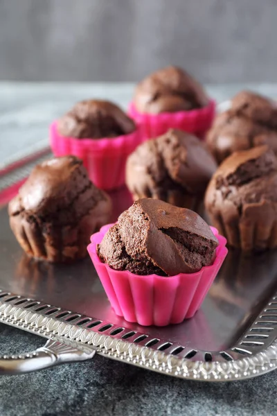 Muffins σοκολάτας εκλεκτής ποιότητας θήκης — Φωτογραφία Αρχείου