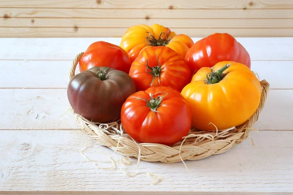 Býčí srdce rajčata — Stock fotografie