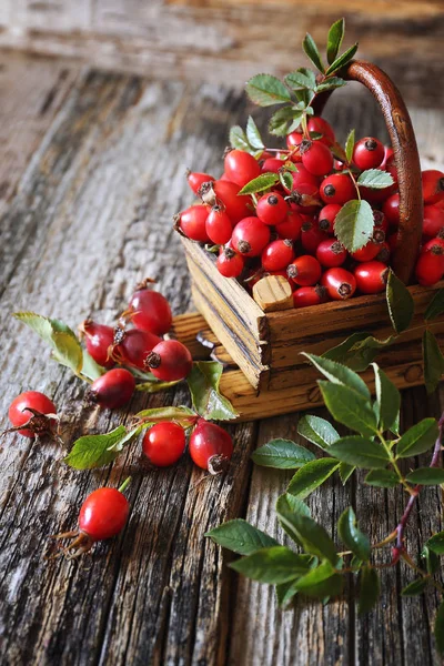 Rosehip berries in basket — Stock Photo, Image