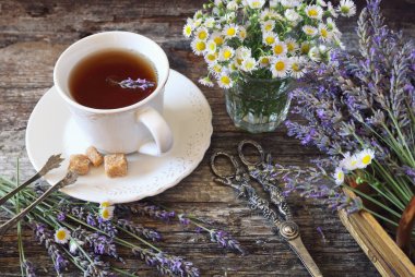 aromatik Lavanta çay, taze lavanta ve yabani papatya