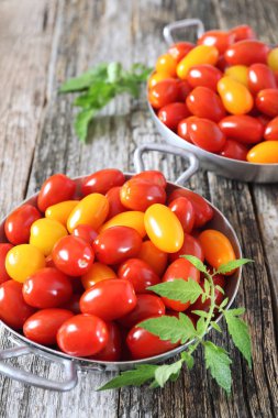 sarı ve kırmızı kiraz domatesleri