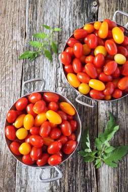 Eski ahşap zemin üzerine sarı ve kırmızı kiraz domates