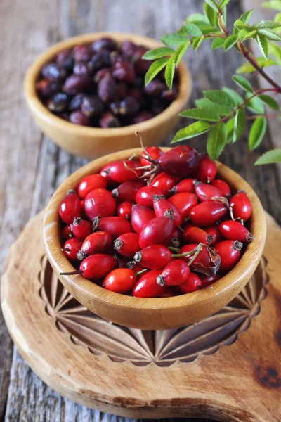 Rosehip berries, fresh and dried — Stock Photo, Image