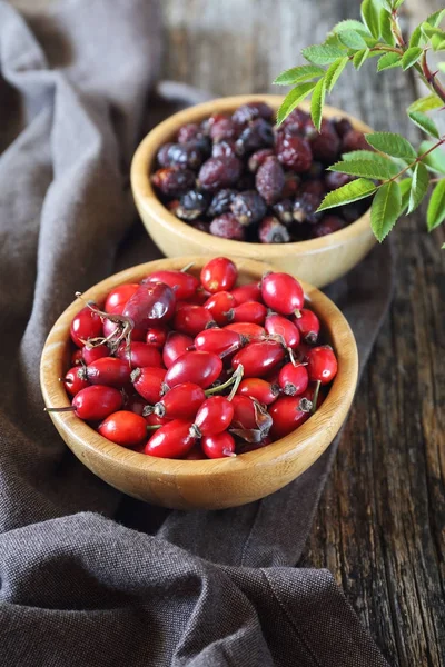 Rose hip berries, fresh and dried — Stock Photo, Image