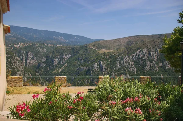 Riviera Francesa. Vista das montanhas e oleande rosa florescendo — Fotografia de Stock