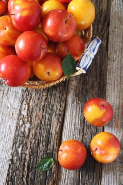 Sarı ve kırmızı büyük erikler hasır sepetin içinde ahşap arka planda, üst wiew