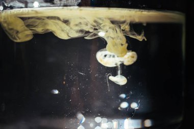 Cam kap içinde şeffaf su sarı mürekkep. Güneş lig