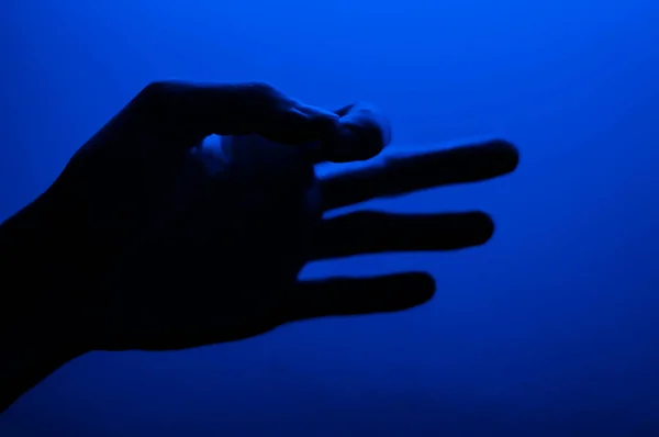 Hands in monochrome blue contrast neon light. Man showing hand palm ok gesture sign. Artistic photography. — Stock Photo, Image