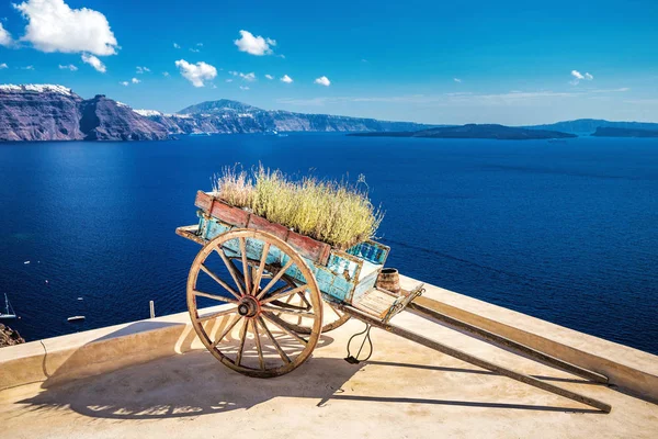 I vagnen med blommor Santorini — Stockfoto