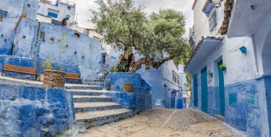 Chefchaouen mavi şehir