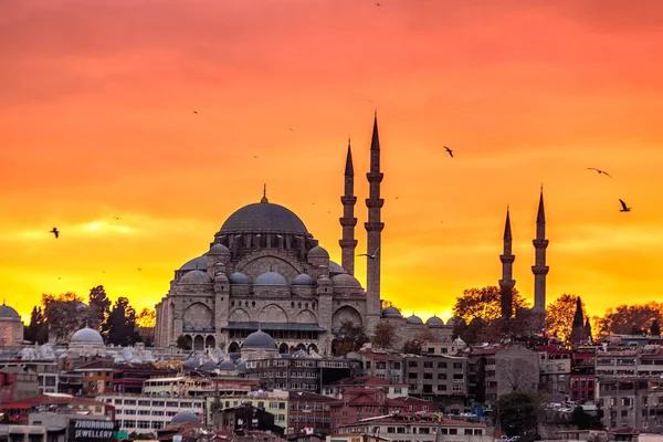 La mosquée Suleymaniye — Photo
