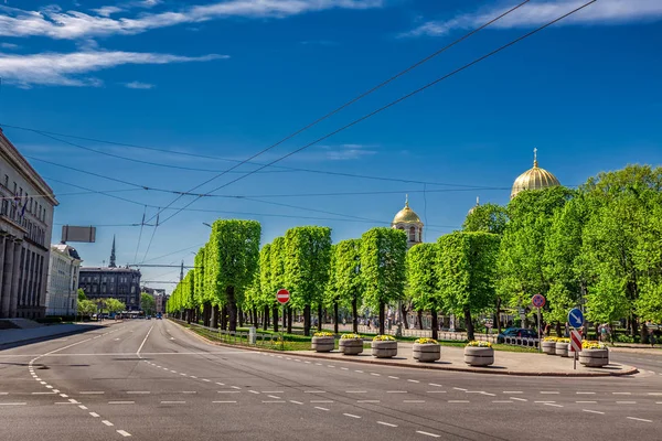 Yeşil park Riga. — Stok fotoğraf