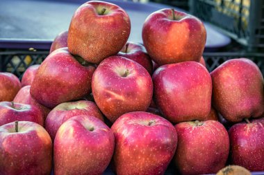 Merkezi Pazar Tbilisi