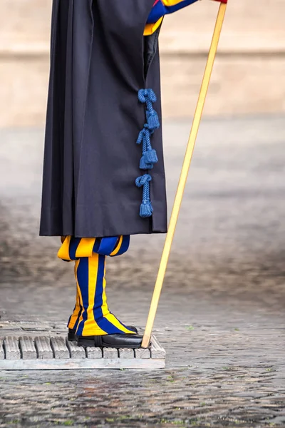 Guarda uniforme colorido — Fotografia de Stock