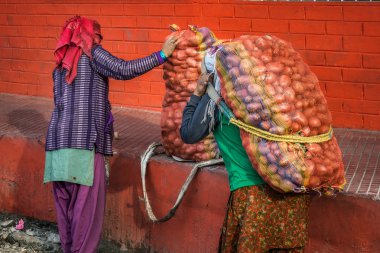 İki kadın taşıma patates torbaları Darjeeling, Hindistan.