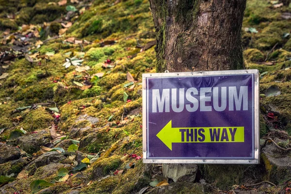 Signo Del Museo India Con Flecha Bosque Darjeeling — Foto de Stock