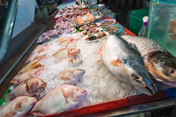 Pescado Fresco Mercado Local Phuket Tailandia —  Fotos de Stock