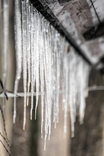 Icicle Festival Shrovetide Pancake Week Con Attività Sulla Neve All — Foto Stock