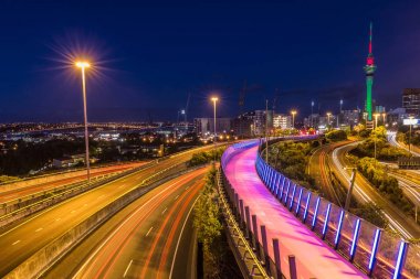 Auckland Şehir Manzaralı