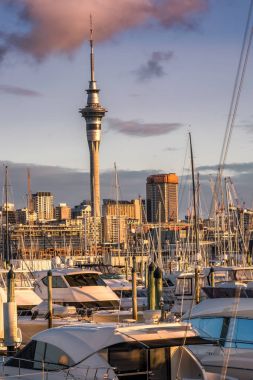 Auckland Şehir Manzaralı